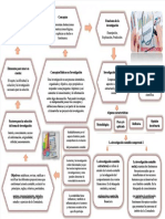 PDF Mapa Mental Investigacion Contable Compress