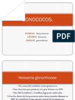 GONOCOCOS