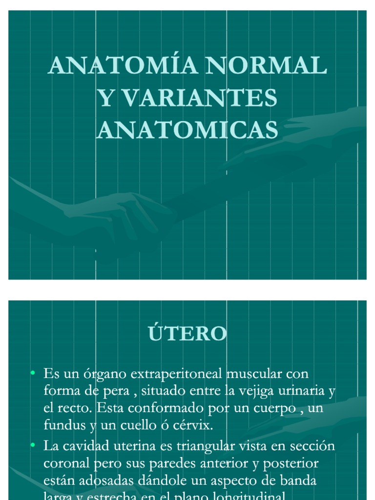Variantes anatómicas del útero | PDF | Útero | Pelvis