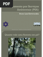 Pagamento por Serviços Ambientais