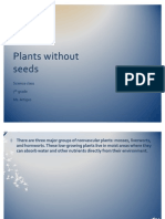 Plants Without Seeds