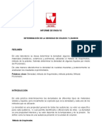 Informe de Ensayo Densidad