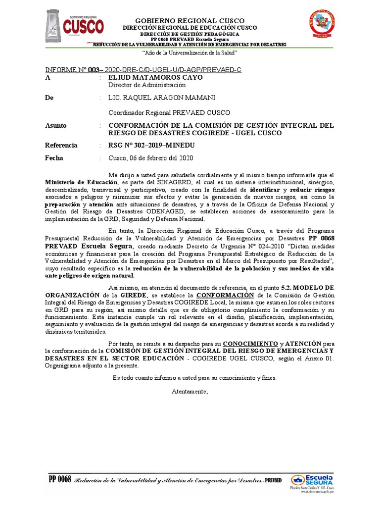 Informe 009 COGIREDE | PDF | Riesgo | Economias