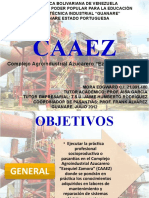 Diapositivas. Caaez