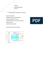 Incorporacion de Quantum Dots