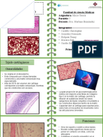 Diapositivas de Micro Teoria Grupo#6