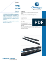 Coiled Tubing Gauge Carrier