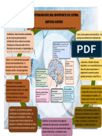 Tarea 4 - Mapa Conceptual de Neurociencia 2