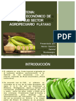 Proyecto Platano