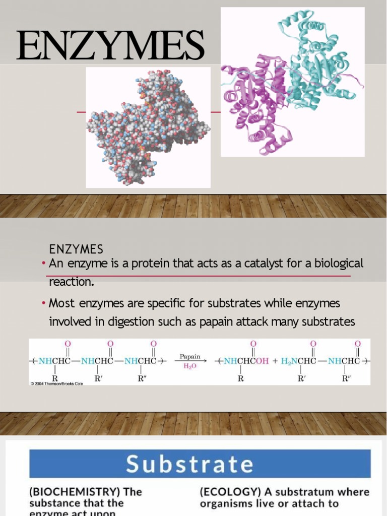 ENZYMES PDF Enzyme Cofactor (Biochemistry)
