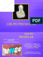 Grupo Premolar