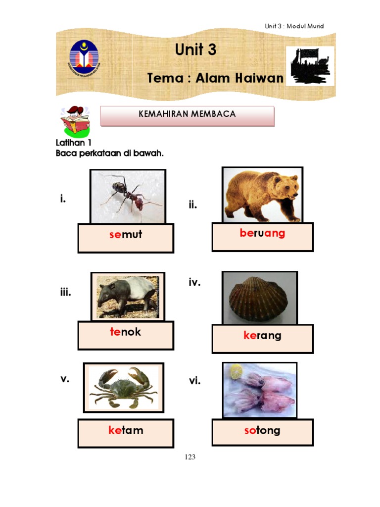 Unit 3 Modul Murid | PDF