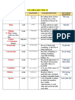 Vocabulary Unit 13