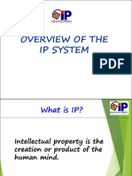 Overview-of-the-IP-System