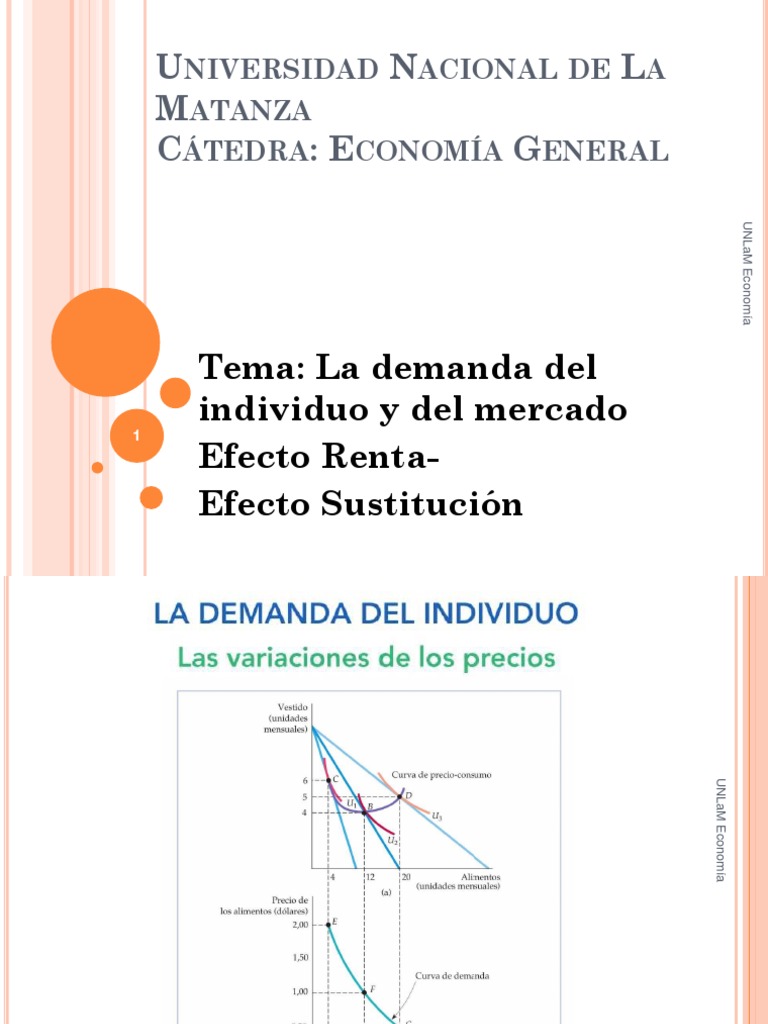 Efecto Sustitución y Efecto Ingreso | PDF | Precios | Curva de demanda