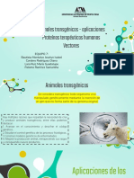 Animales transgénicos - proteínas terapéuticas humanas