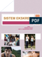 Sistem Ekskresi