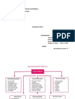 Organizador Grafico