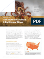 Tick-Borne Rickettsial Infections of Dogs: Parasitology