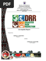 DRR Accomplishment Report