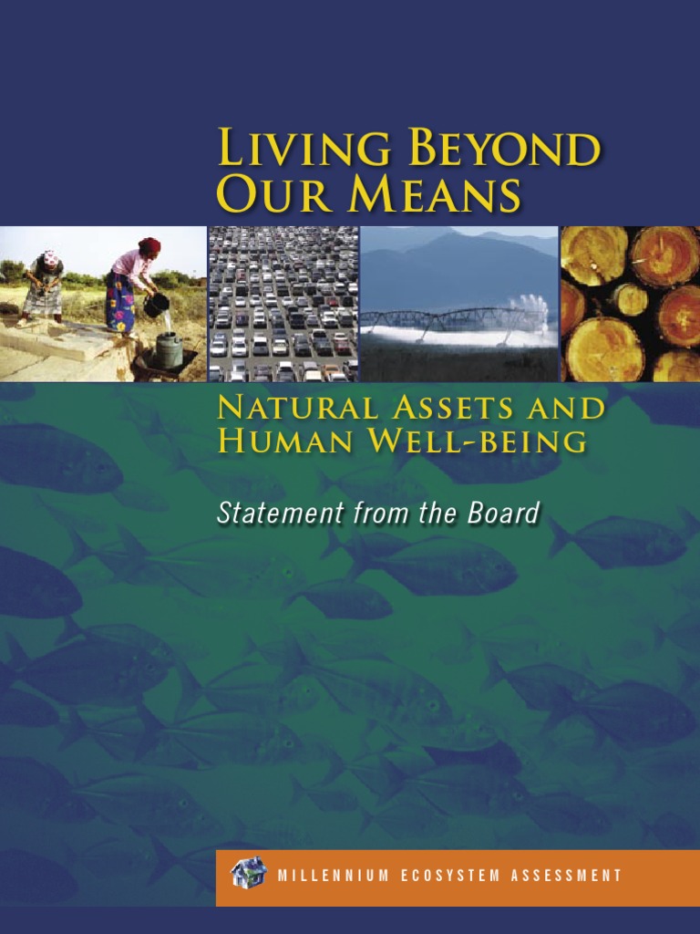 Living Beyond Our Means | PDF | Wellness