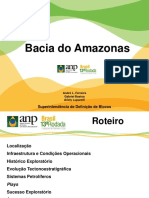 Bacia do Amazonas: Evolução Estratigráfica e Sistemas Petrolíferos