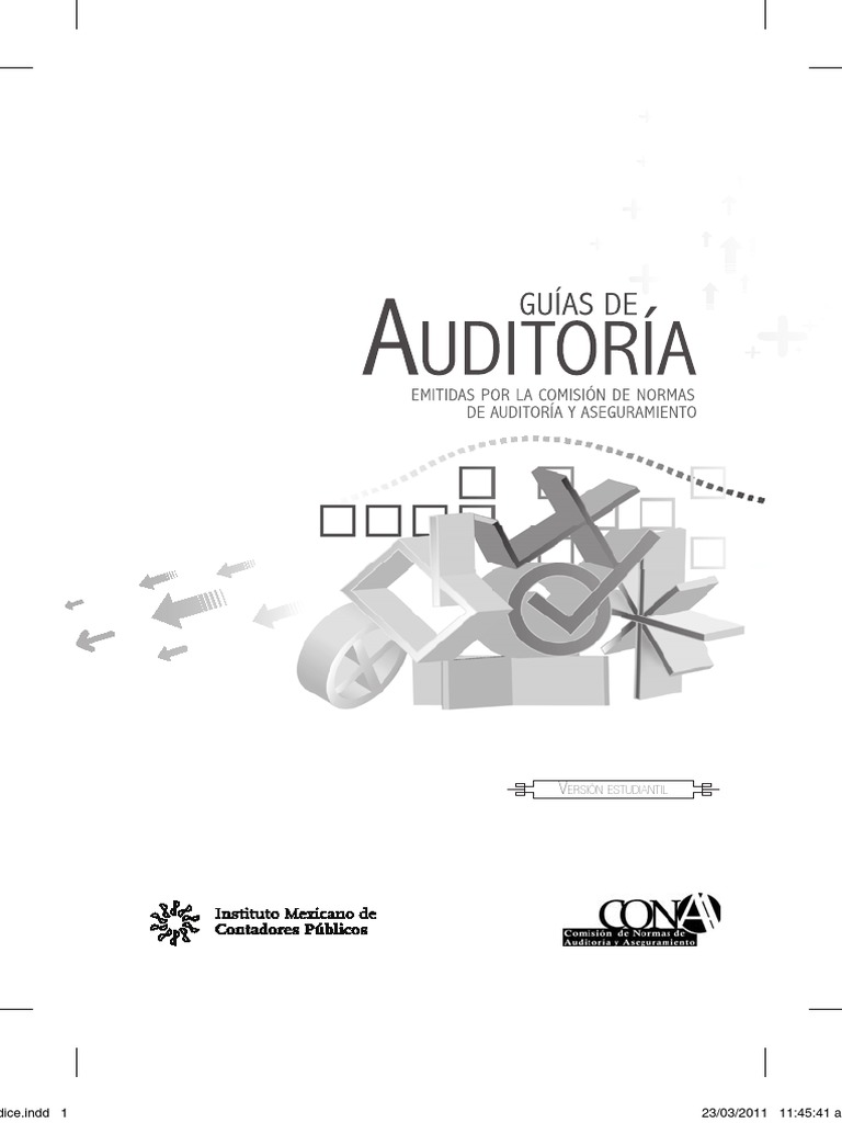 Guias de Auditoria 2011 | Descargar gratis PDF | Auditoría | Contralor