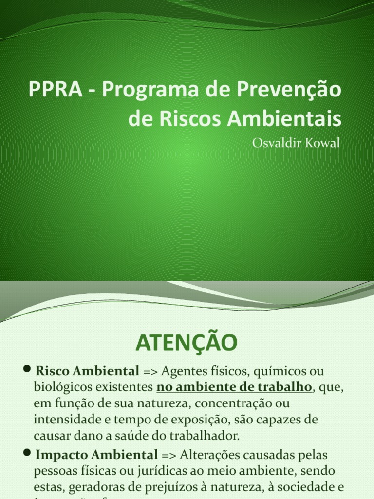 PPRA - Programa de Prevenção de Riscos Ambientais | PDF | Choque ...