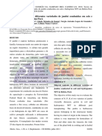 Teores de minerais em variedades de jambú em solo e hidroponia