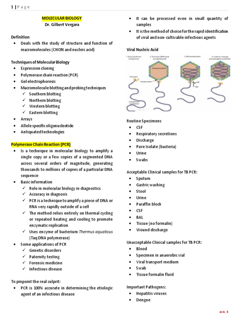 Molecular Biology Techniques Overview | PDF | Polymerase Chain Reaction ...