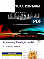 Sistema Dentario Digital 1