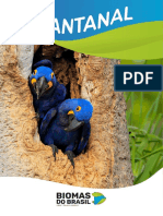 BIO_AP_Biomas do Brasil_Pantanal