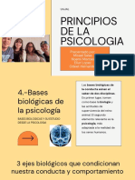 Principios de La Psicologia