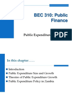 Lecture10 - Public Expenditure and Public Debt-2