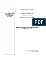 PRODUCCIÓN BIOLÓGICA DE METANO a partir de H2 y CO2