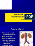 Histología Aparato Urinario