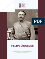 Felipe Angeles Begonia
