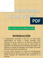 La Asociatividad de Las PYMES