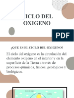 Ciclo Del Oxigeno