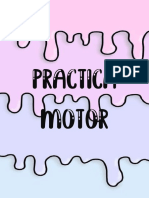 PRACTICAMOTOR