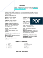 Anatomía del sistema digestivo