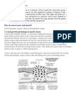 Staging and Grading Cancer