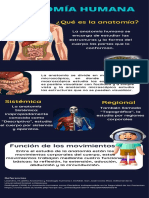 Anatomia