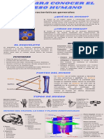 Guía para Conocer El Hueso Humano