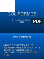 COLIFORMES