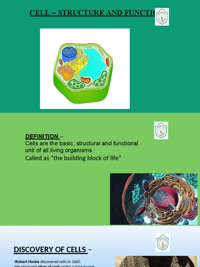 Cell - Structure AND Functions | PDF | Endoplasmic Reticulum | Cell ...