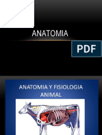 Anatomia 1 Aux