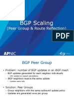 BGP Scaling: (Peer Group & Route Reflection)
