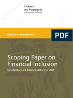 Scoping Paper On Financial Inclusion
