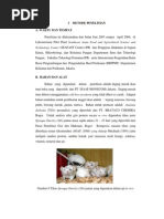 Download Pembuatan Nugget by Dewi Sri Wulandari SN58286854 doc pdf